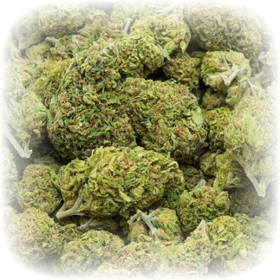 Cannabis Buds