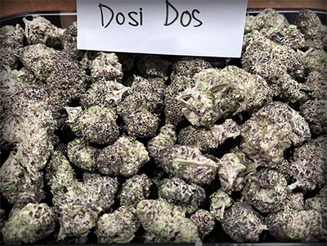 Dos I Dos Cannabis Buds