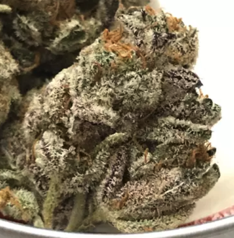Dos-i-Dos Weed