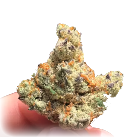 Dosidos Cannabis Leafly Strain of Year 2021