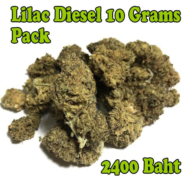 Lilac Diesel Size B 21 Percent THC Medium size Buds special offer 10 Gram supersave pack