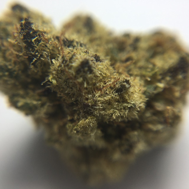 Closeup Macro Pic of Mandarin Cookies Popcorn Cannabis Bud