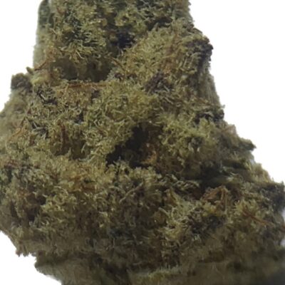 Mandarin Cookies Popcorn size bud closeup