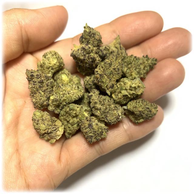 7 examples of Mandarin Cookies buds in hand for visual comparison Popcorn size 21% THC 7 examples of Mandarin Cookies buds in hand for visual comparison Popcorn size 21% THC