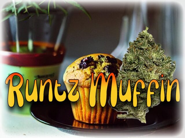 Runtz Muffin Weed and Muffins