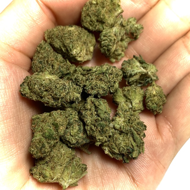 Fruit Spirit Cannabis Buds in the hand (Size B)