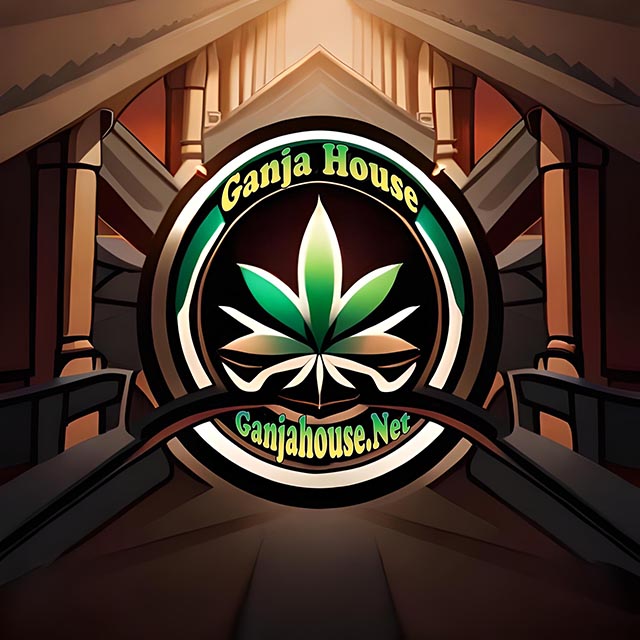 The Ganja House Thailand - No.1 One Stop Online Cannabis Store