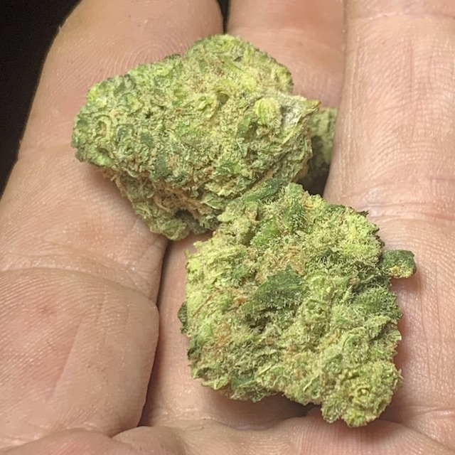 Jack Herer Large Buds Size B 23% THC