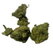 Jack Herer Large Buds Size B 23% THC7