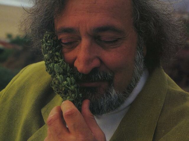 Jack Herer smelling his own weed strain