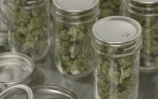 mason-jars from storabis