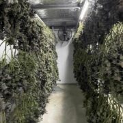 Our Farming Co-Operative Provider's Drying Facility