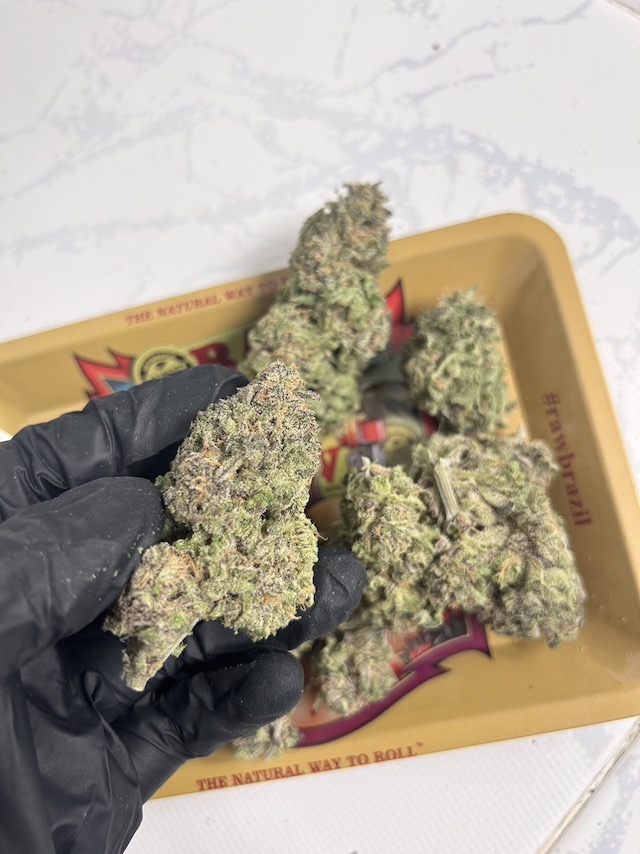 Punch Berry Cookie Ultra Buds in the hand for size comparison