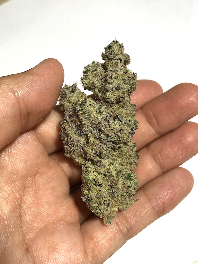 Punch Berry Cookies Ultra Size Sativa Dominant Cannabis Buds
