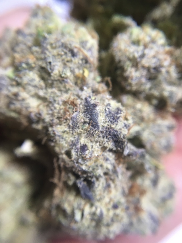 Punch Berry Cookies Ultra Size Sativa Dominant Cannabis Buds Macro close up image showing trichomes and the powdery crystalline thc covering the surface of the bud