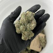 Our Ultra Size Cannabis Buds