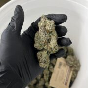 Who else can grow Ultra Size Buds like this in Thailand?