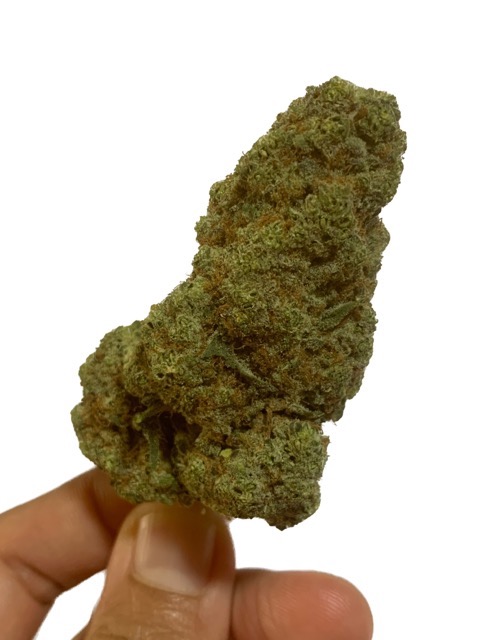 Grandpas Cookies AAA Top Shelf Cannabis Buds in the hand