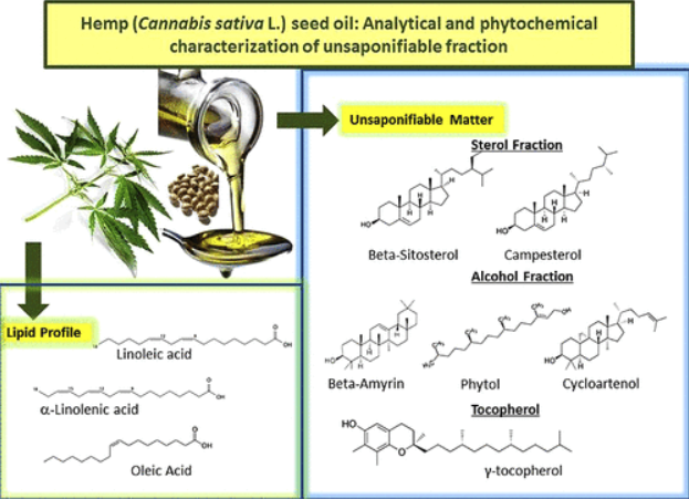 Cannabis Phytochemical Profile