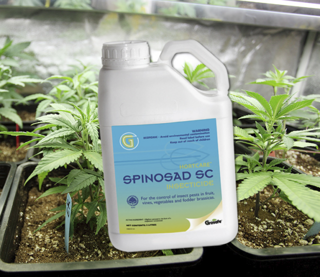 Spinosad Cannabis Fertilizer