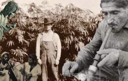 Cannabis in the 19th Century