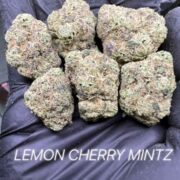 Lemon Cherry Mintz