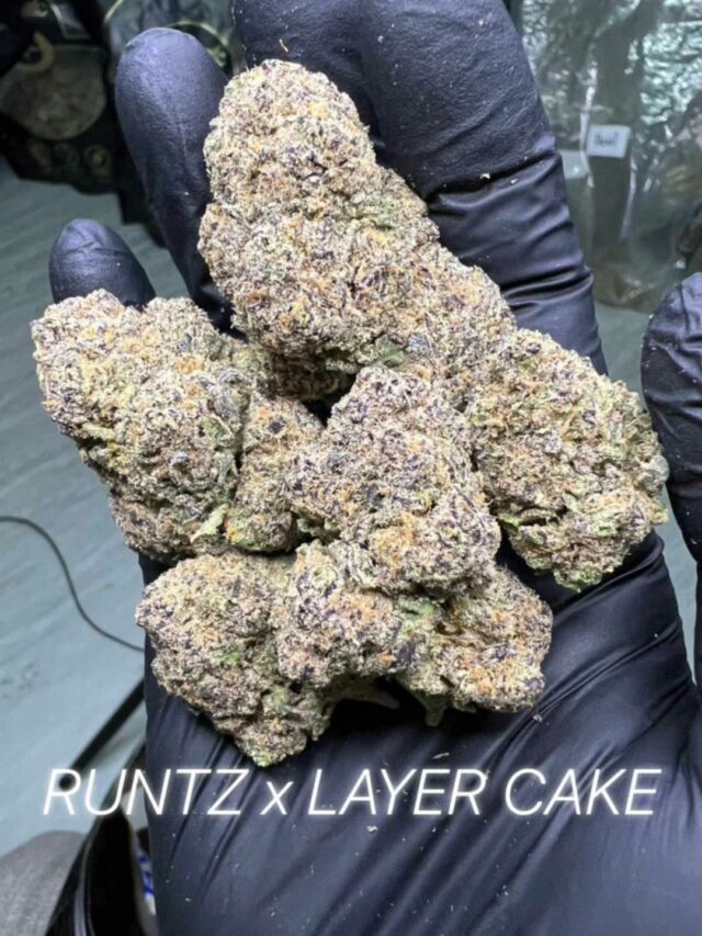 Runtz X Layer Cake