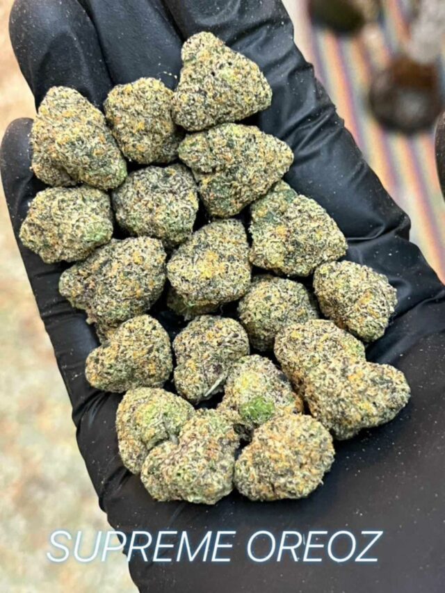 Supreme Oreoz