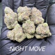 Night Move