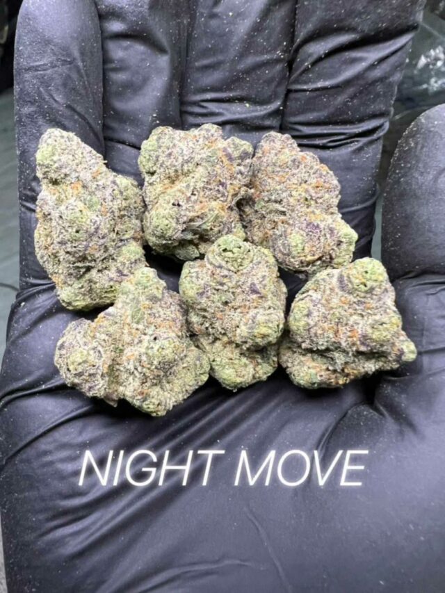Night Move