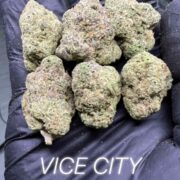 Vice City