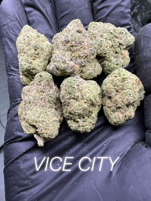 Vice City