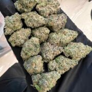 Super Boof Type: Indica-dominant Hybrid THC: 26-28% CBD: Less than 1% Terpenes: Caryophyllene, Limonene, Myrcene Flavor & Aroma: Sweet cherry notes combined with a subtle diesel undertone for a unique and rich flavor profile. Effects: Known for its relaxing and sedative properties, this strain melts away stress and tension, leaving you ready for a cozy night. Medical Benefits: Excellent for pain relief, combating insomnia, and reducing stress. Price: 1 Gram: 200฿ 5 Grams: 850฿ 10 Grams: 1500฿