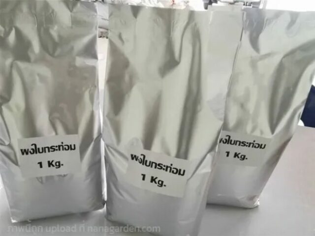 Kratom Poder available on Ganjahouse.netand at the dispensary on Koh Lanta