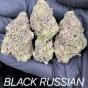 Black Russian