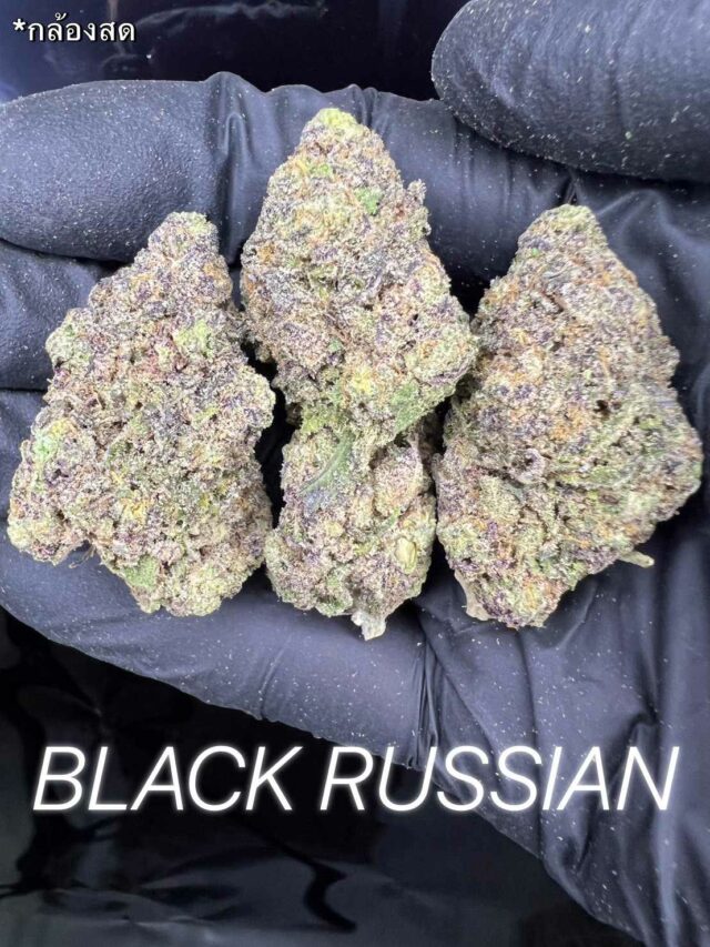 Black Russian