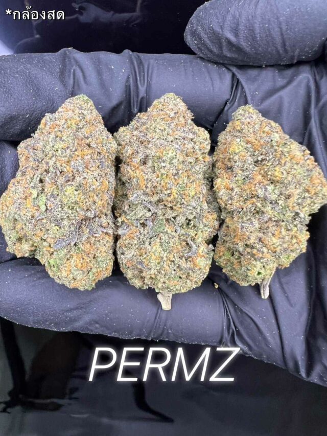 Permz