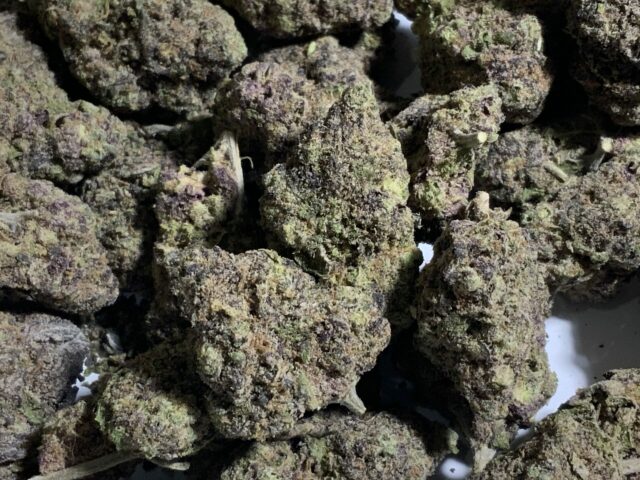 Black Russian Cannabis Strain