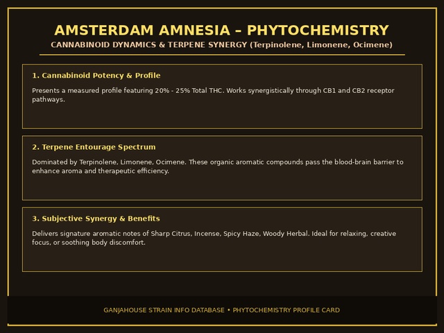 Amsterdam Amnesia Phytochemistry Card