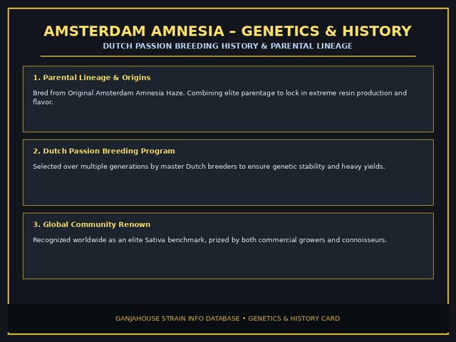 Amsterdam Amnesia Genetics Card