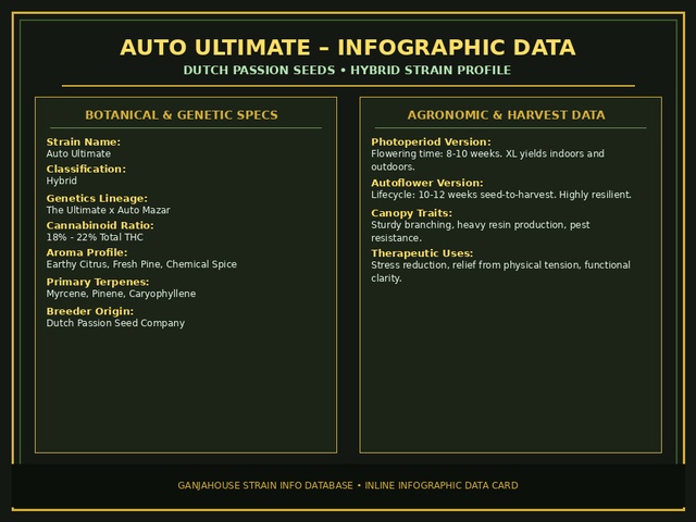 Auto Ultimate Infographic Card