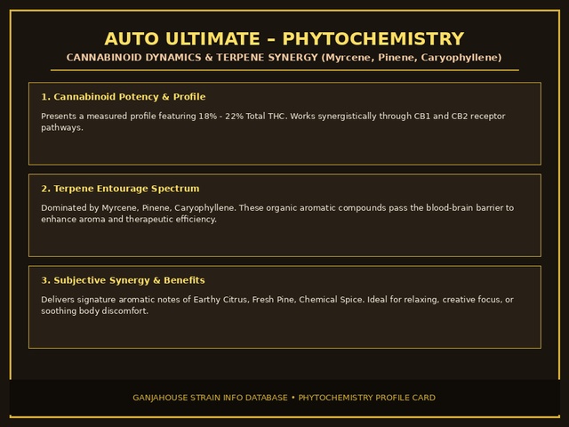 Auto Ultimate Phytochemistry Card