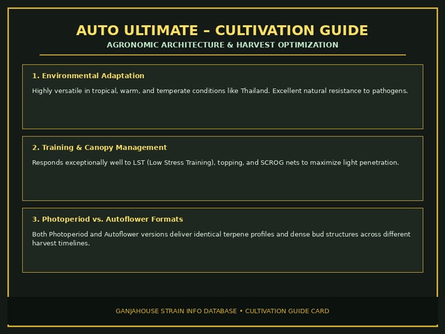 Auto Ultimate Cultivation Card