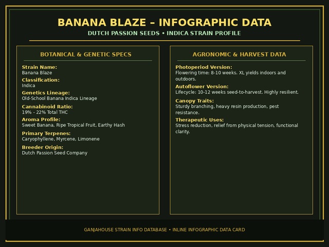 Banana Blaze Infographic Card