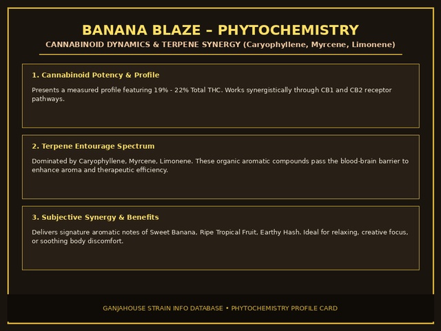 Banana Blaze Phytochemistry Card
