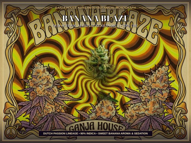 Banana Blaze Ganja House Botanical Monograph