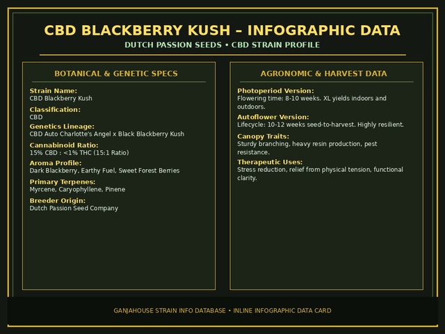 CBD Blackberry Kush Infographic Card