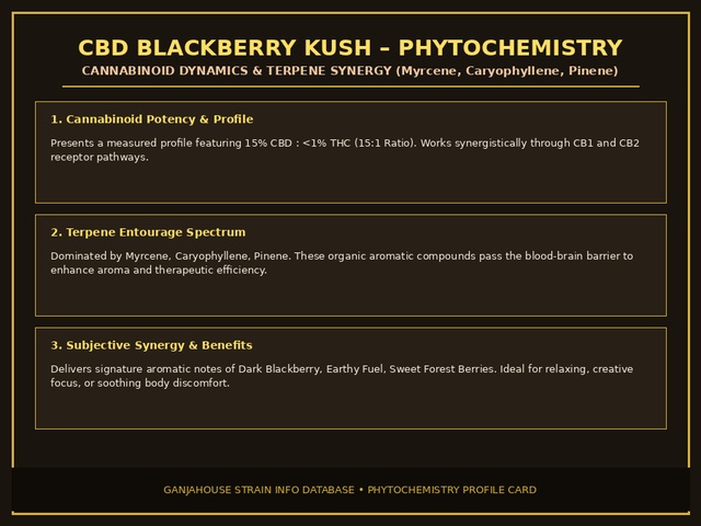 CBD Blackberry Kush Phytochemistry Card