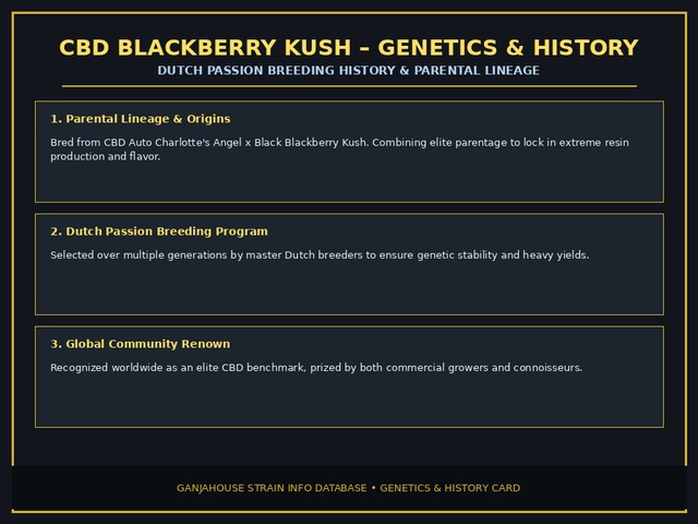 CBD Blackberry Kush Genetics Card