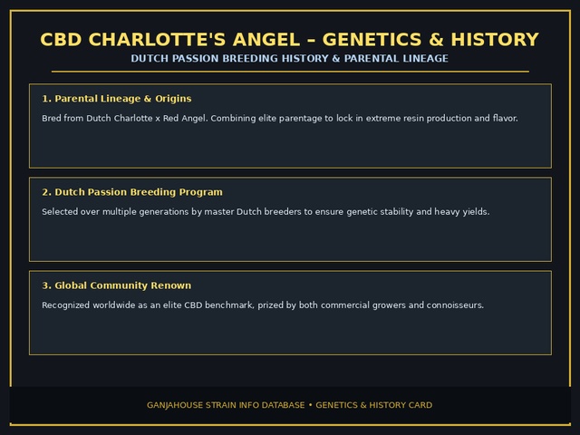 CBD Charlotte's Angel Genetics Card